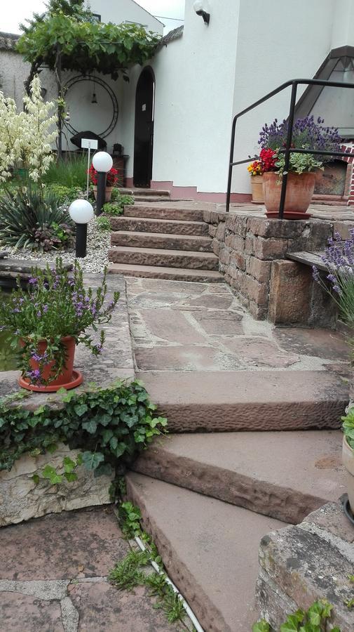 Ferienwohnung Belle Vue Бернкастель-Кюс Экстерьер фото
